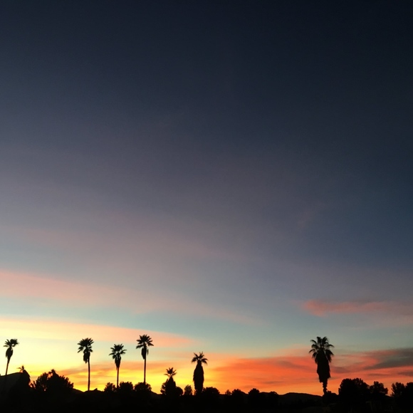 Meet your Posher, Cate - Picture 1 of 2